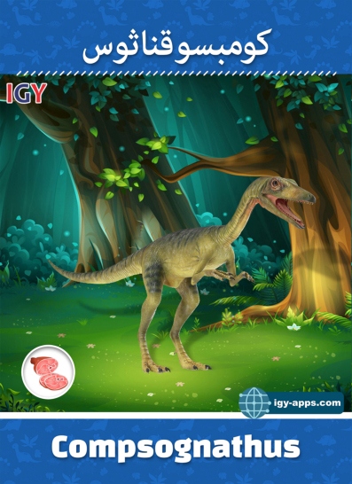 AR Kids Kit Dino Flash Cards