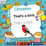 Dictation Papers 🖨️ وسائل تعليمية️