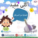 أكلى مفيد - الثوم 🖨 وسائل تعليمية