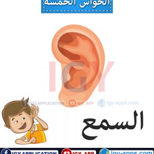 الحواس الخمسة 🖨️ عربي - إنجليزي 🖨️ وسائل تعليمية