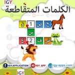 الكلمات المتقاطعة 🖨️ عربي 🖨️ وسائل تعليمية