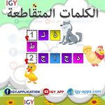 الكلمات المتقاطعة 🖨️ عربي 🖨️ وسائل تعليمية