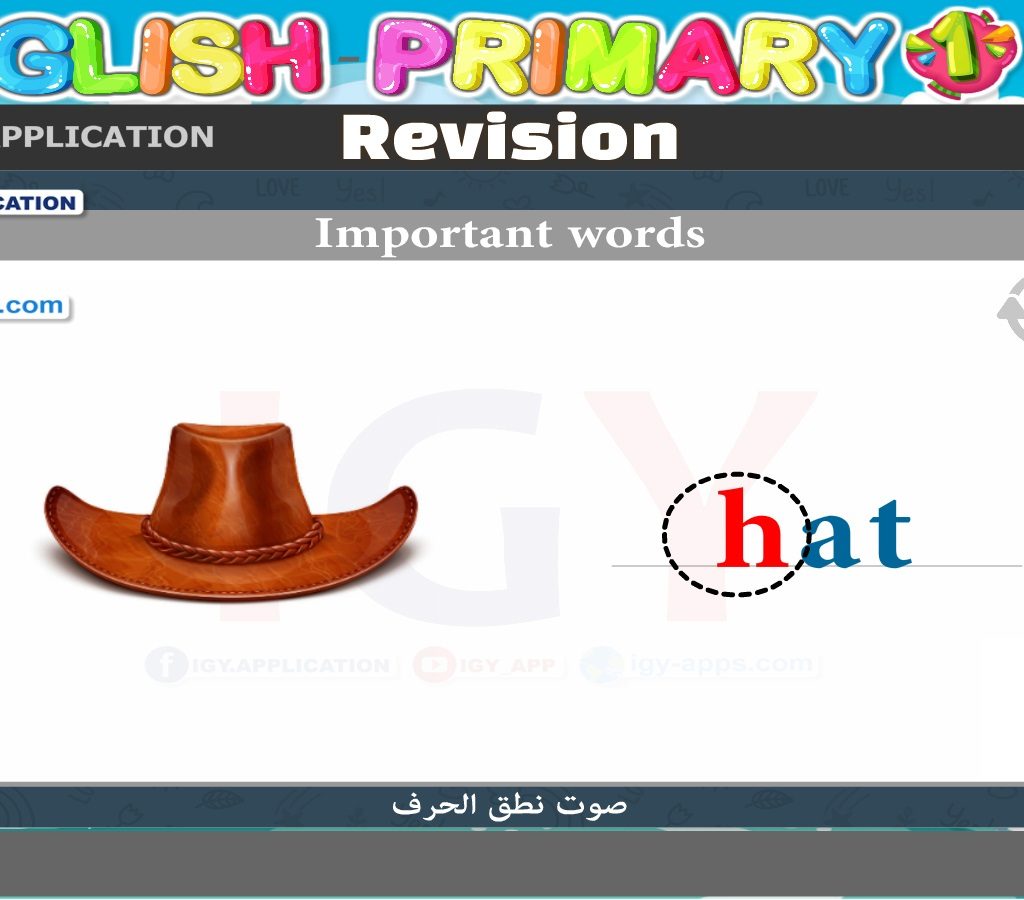 انجليزي أولي ابتدائي تيرم أول