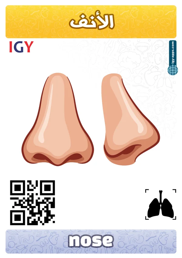 أنف — Nose