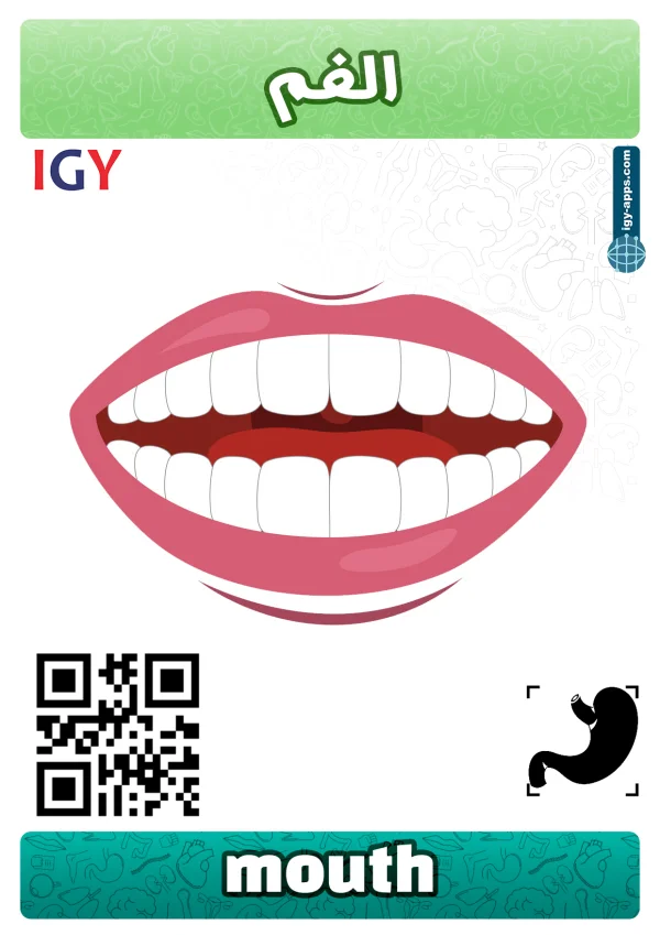 فم — Mouth