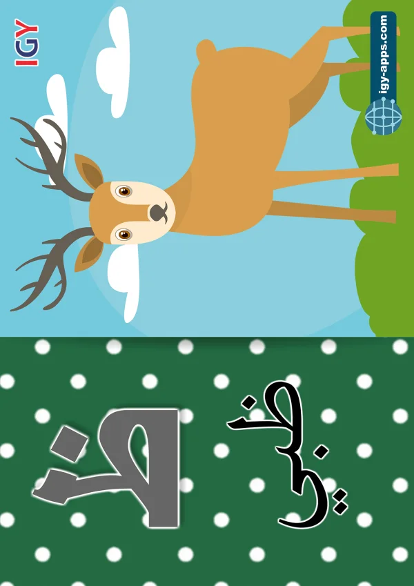 ظبي — Deer — حرف ظ