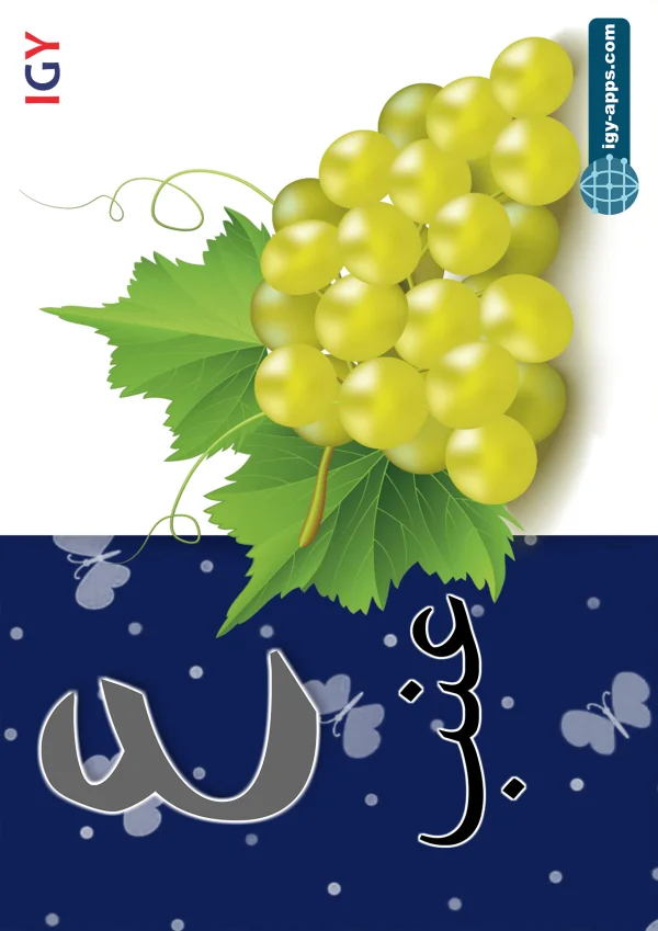 عنب — Grapes — حرف ع