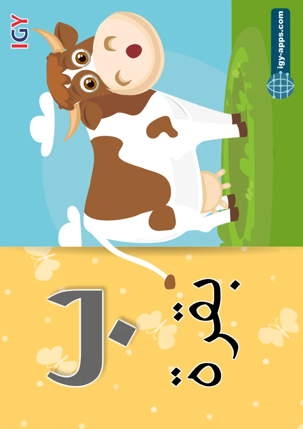 بقرة — Cow — حرف ب