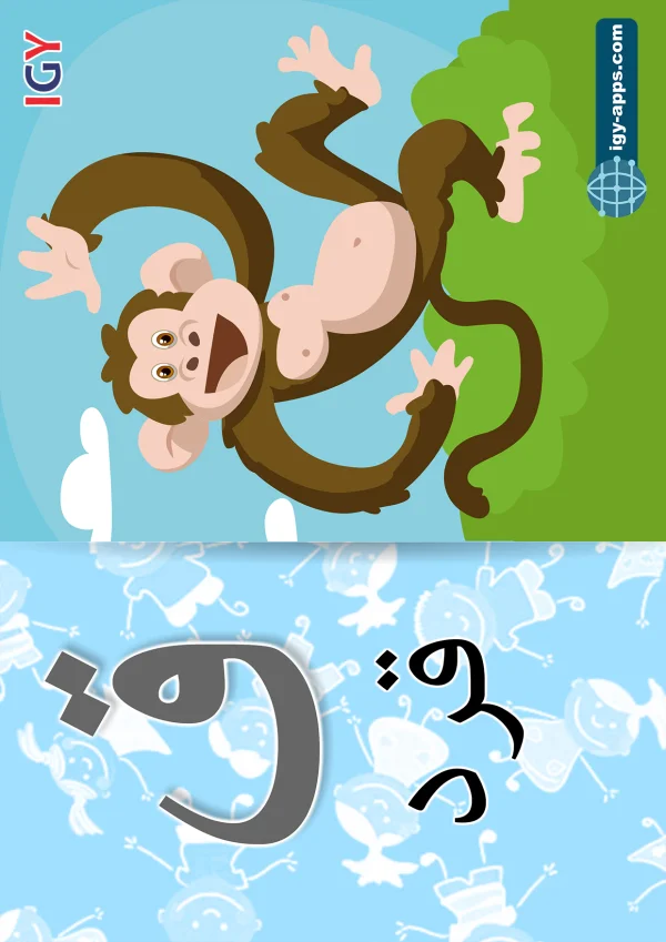 قرد — Monkey — حرف ق
