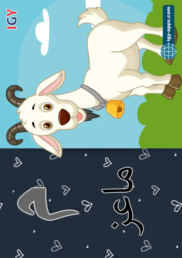 ماعز — Goat — حرف م