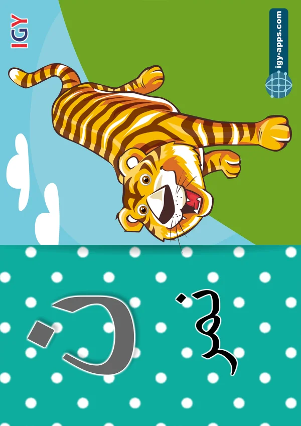 نمر — Tiger — حرف ن