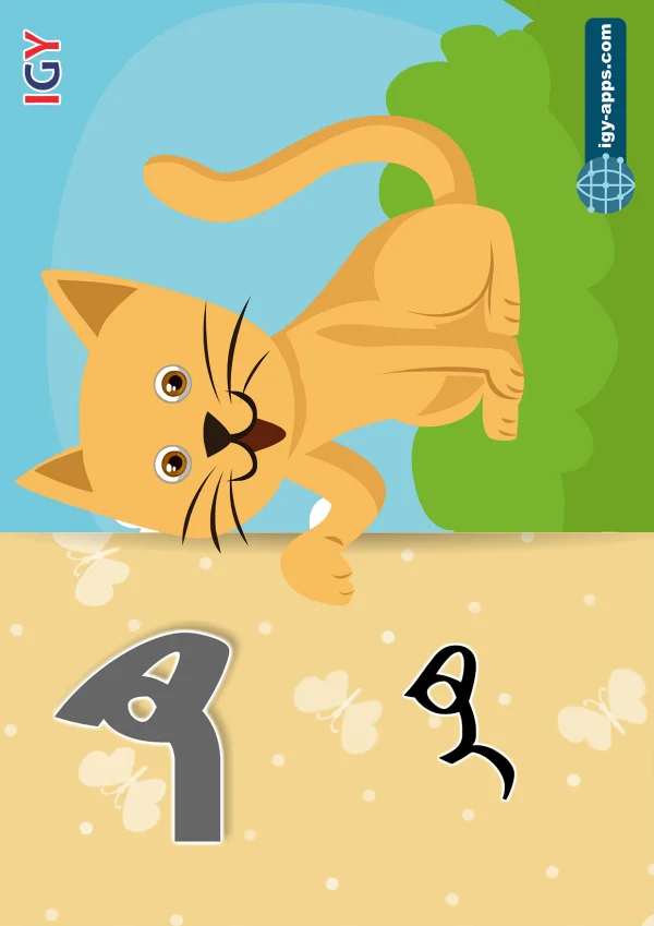 هر — Cat — حرف ه