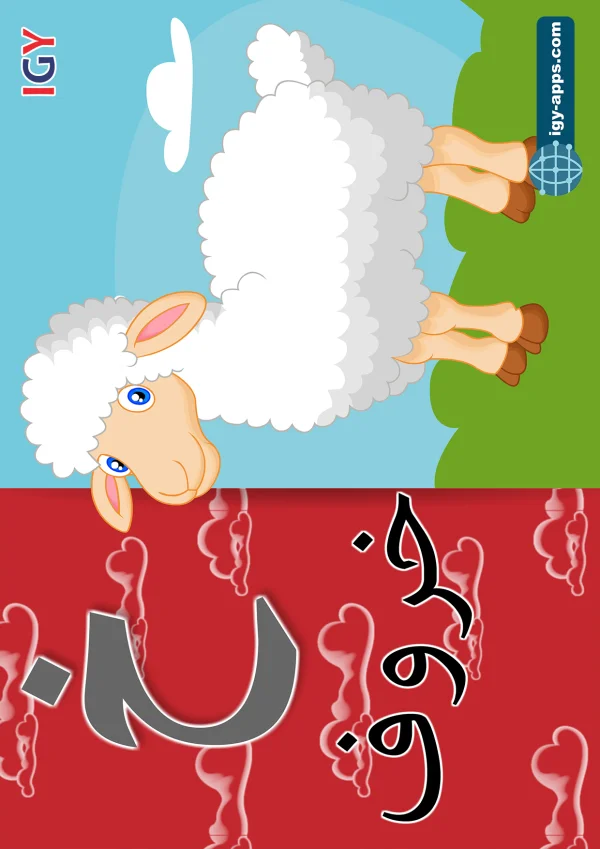 خروف — Sheep — حرف خ