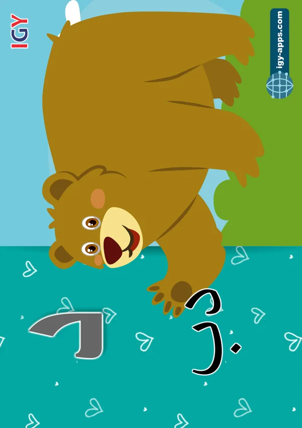 دب — Bear — حرف د