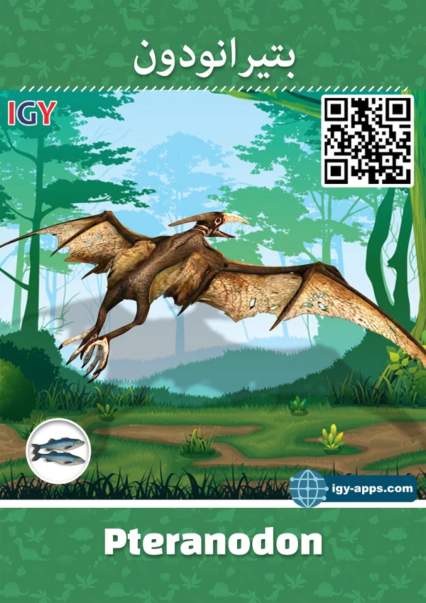 بتيرانودون — Pteranodon
