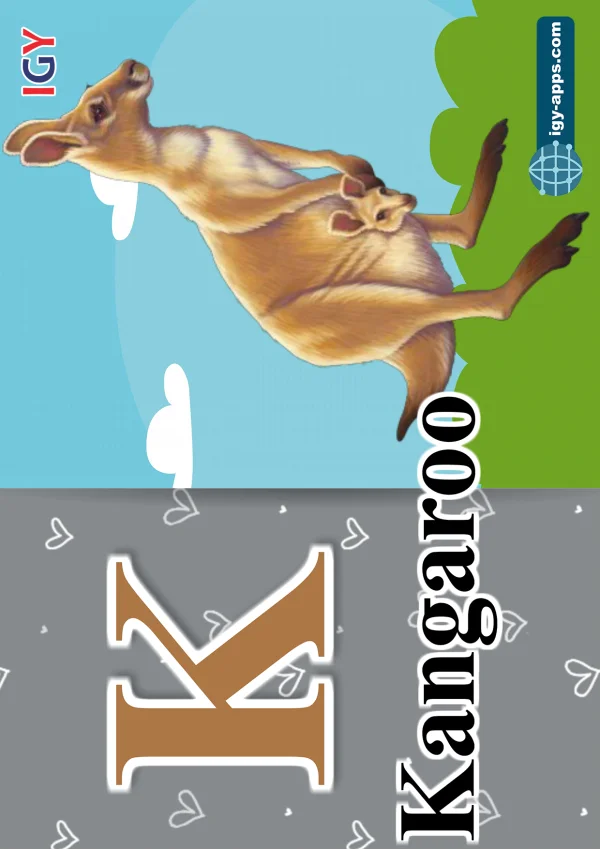 كنغر — Kangaroo — حرف K