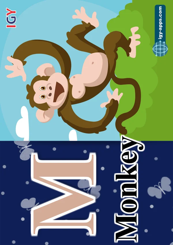 قرد — Monkey — حرف M