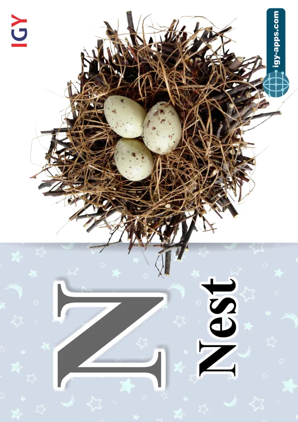 عش — Nest — حرف N