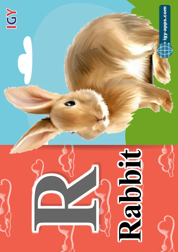 أرنب — Rabbit — حرف R