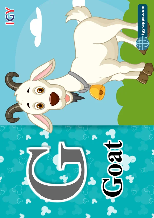 ماعز — Goat — حرف G