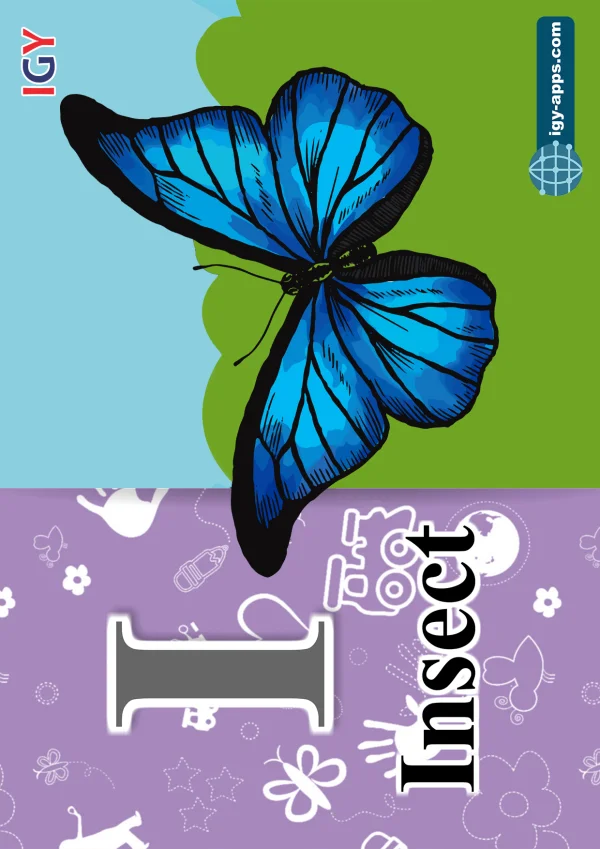 حشرة — Insect — حرف I