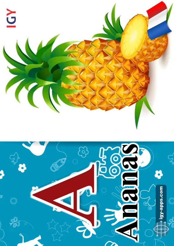 أناناس — Pineapple — حرف A