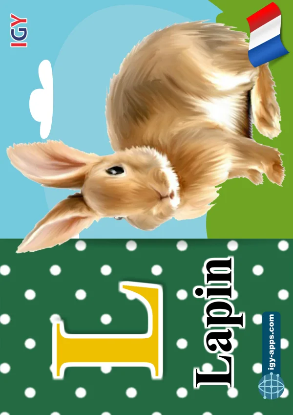 أرنب — Rabbit — حرف L