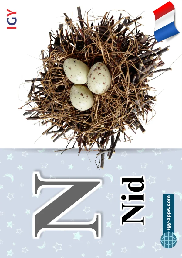 عش — Nest — حرف N