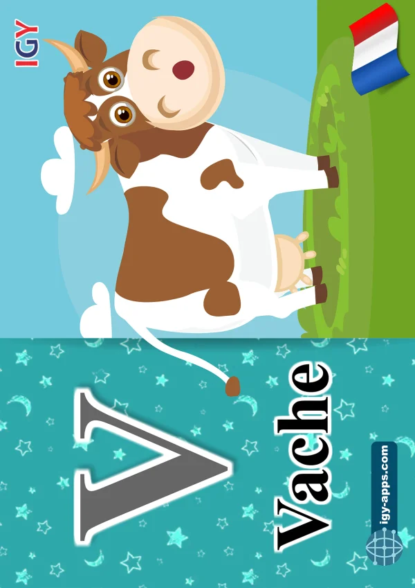 بقرة — Cow — حرف V