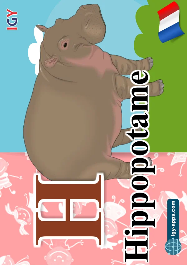 فرس النهر — Hippo — حرف H