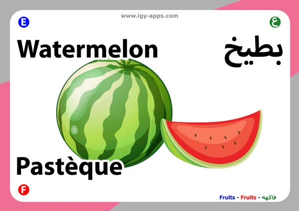 بطيخ — Watermelon