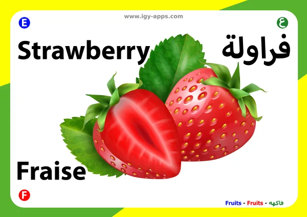 فراولة — Strawberry