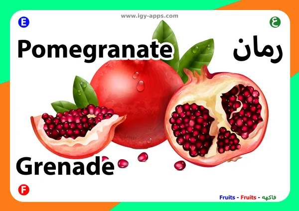 رمان — Pomegranate
