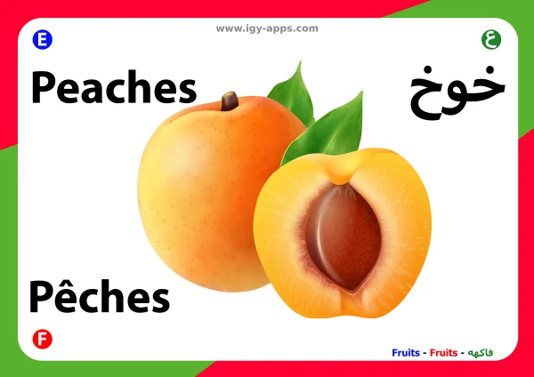 خوخ — Peach
