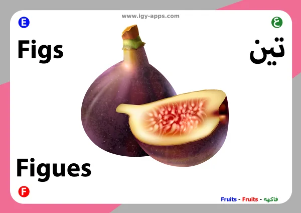تين — Fig