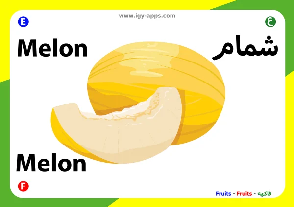 شمام — Melon