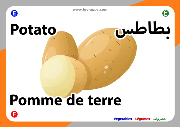 بطاطس — Potato