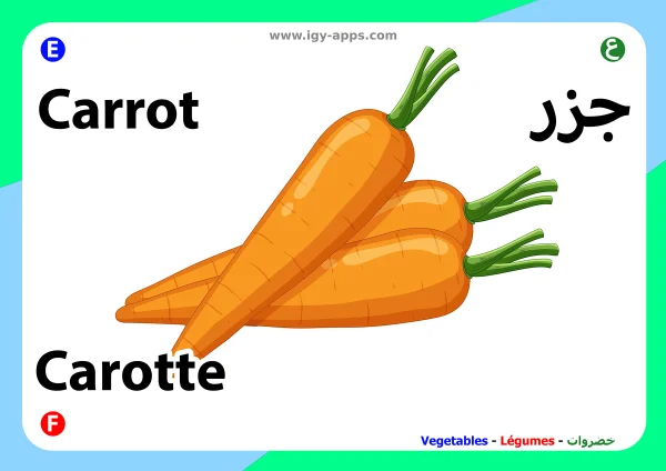 جزر — Carrot