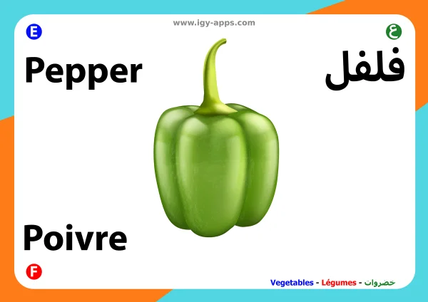 فلفل — Pepper