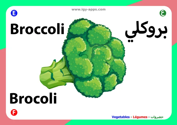 بروكلي — Broccoli