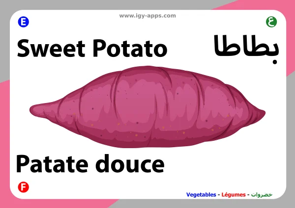 بطاطا حلوة — Sweet Potato