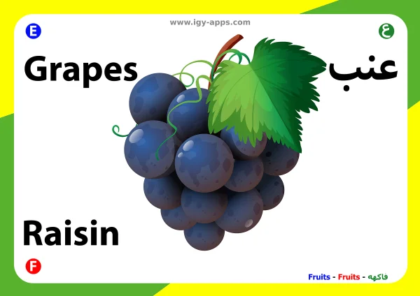 عنب — Grapes