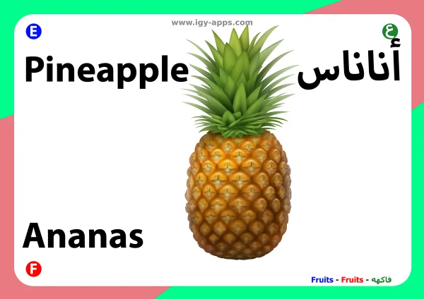 أناناس — Pineapple