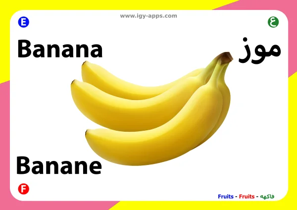 موز — Banana