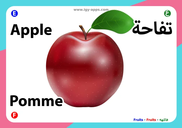 تفاح — Apple