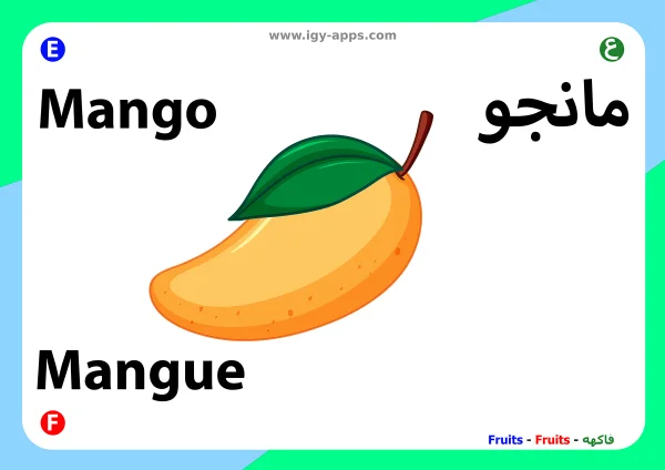 مانجو — Mango
