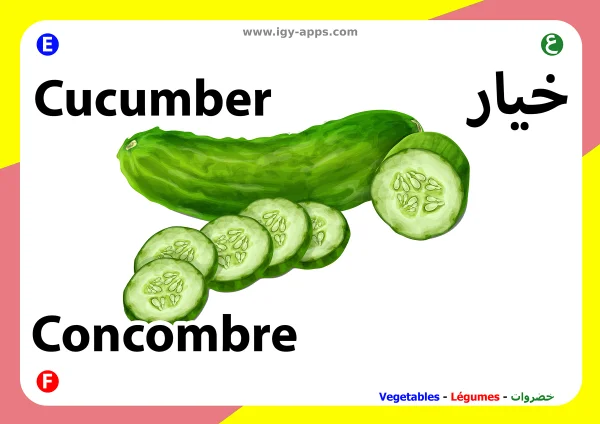 خيار — Cucumber