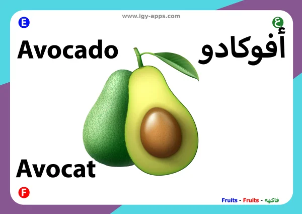 أفوكادو — Avocado