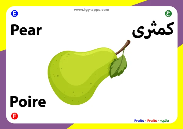 كمثرى — Pear