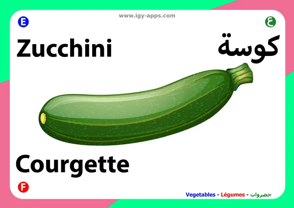 كوسة — Zucchini